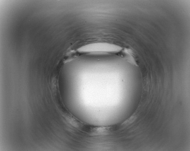 X0000066020184200603312058