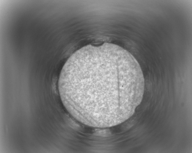 X0000066020185200603312058