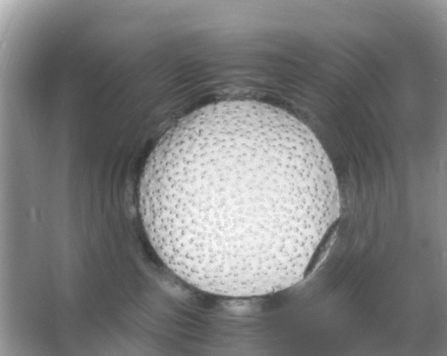 X0000066020187200603312058