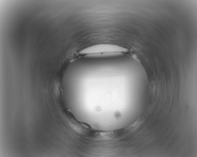 X0000066020188200603312058