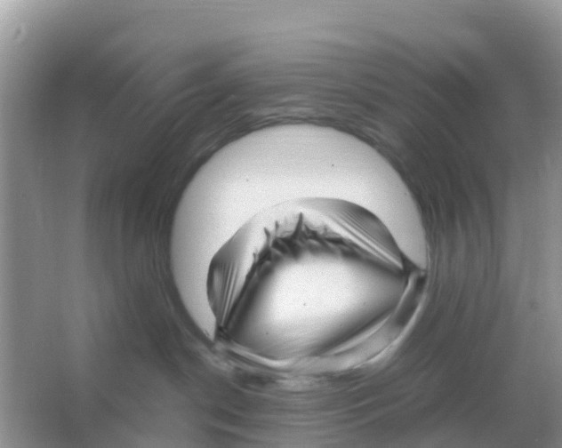 X0000066020190200603312058