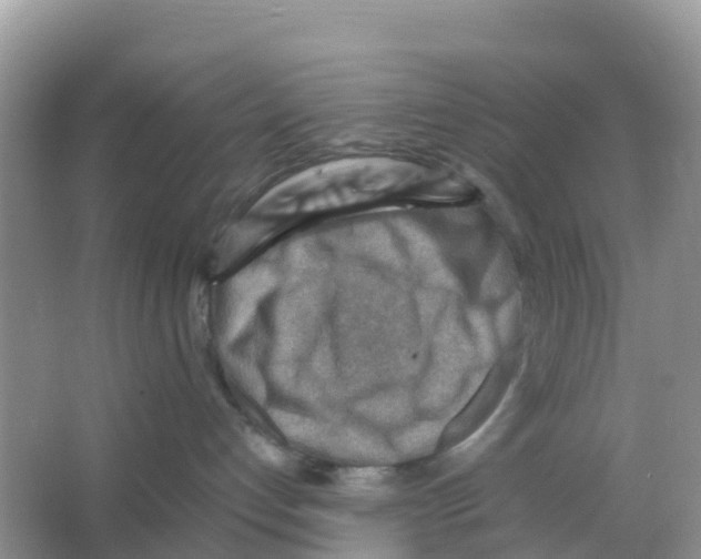 X0000066020192200603312058