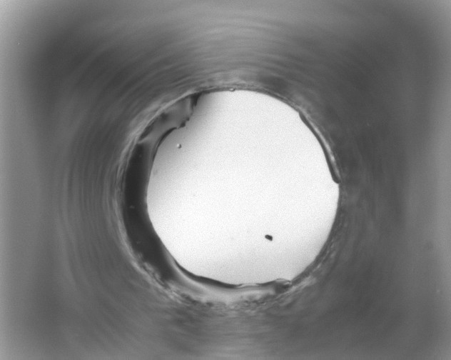 X0000066020193200603312058