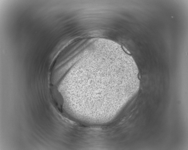 X0000066020194200603312058