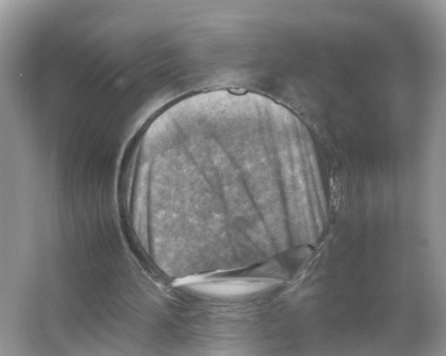 X0000066020196200603312058