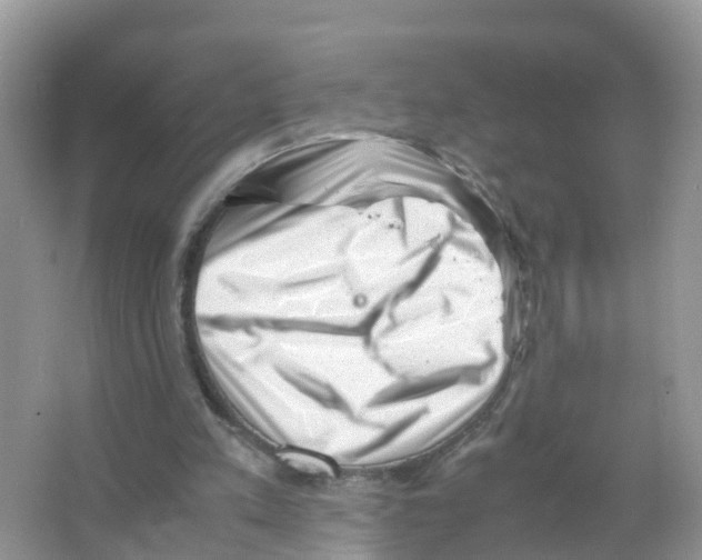 X0000066020197200603312058