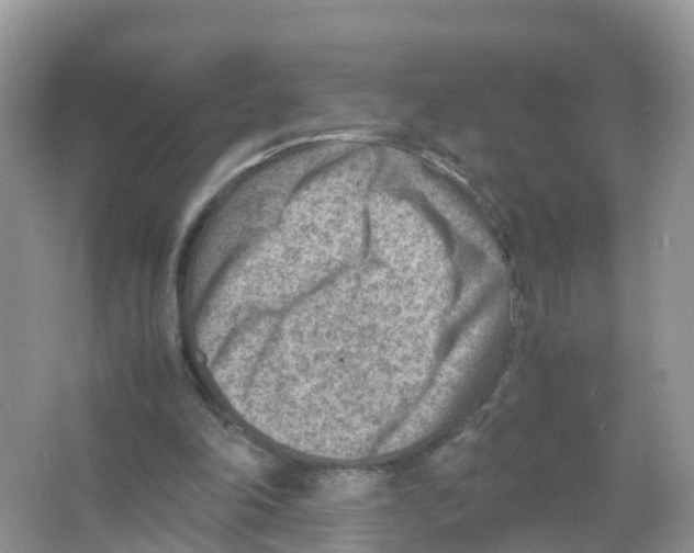 X0000066020198200603312058