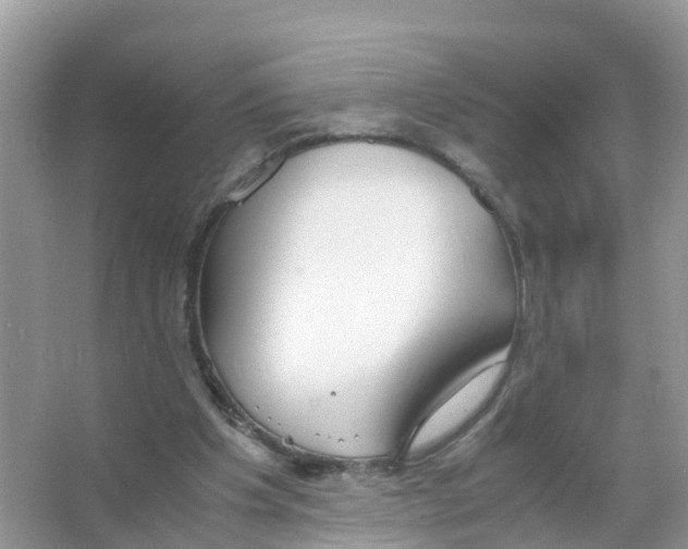 X0000066020201200603312058