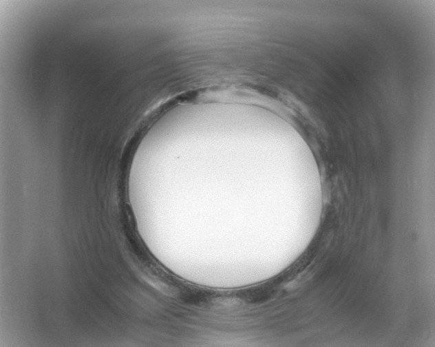 X0000066020203200603312057