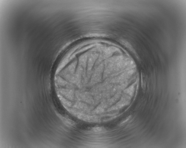 X0000066020204200603312057