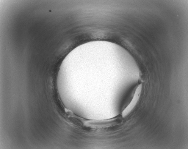 X0000066020211200603312057