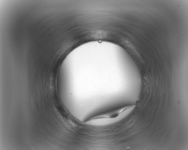 X0000066020212200603312057