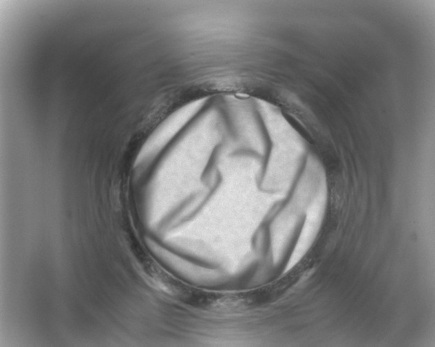 X0000066020213200603312057