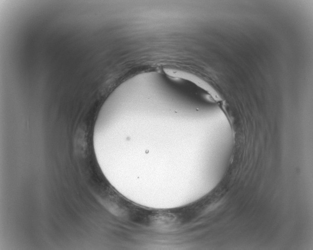 X0000066020215200603312057