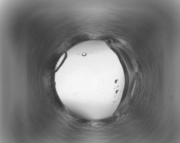 X0000066020221200603312057