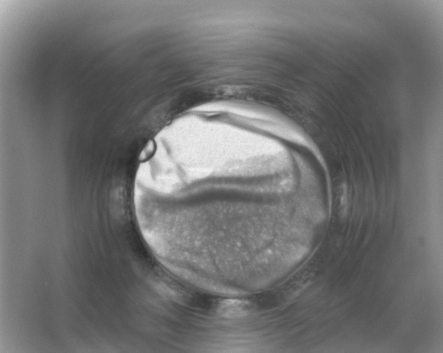 X0000066020222200603312057