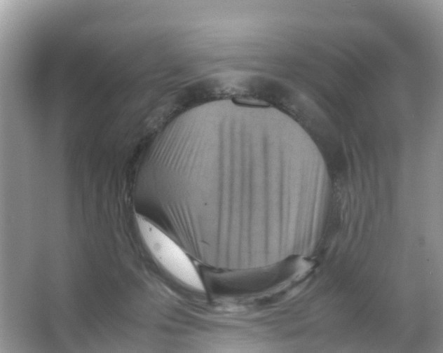 X0000066020223200603312057