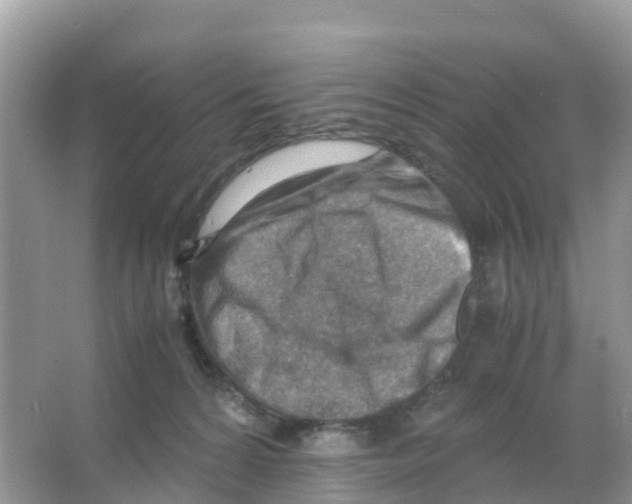 X0000066020224200603312057