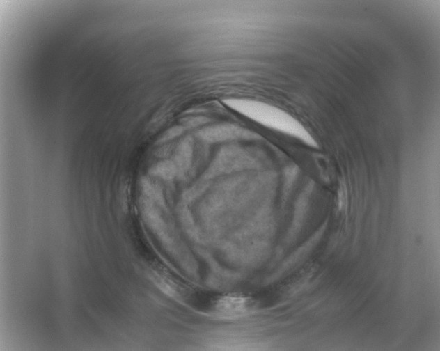 X0000066020227200603312057