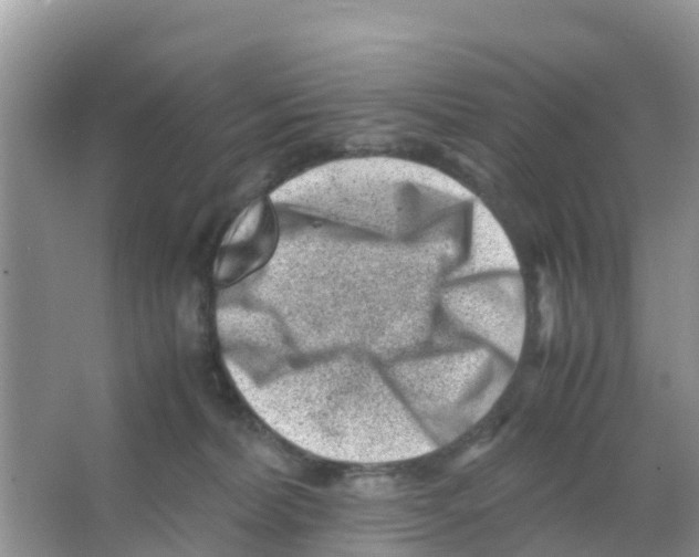 X0000066020228200603312057