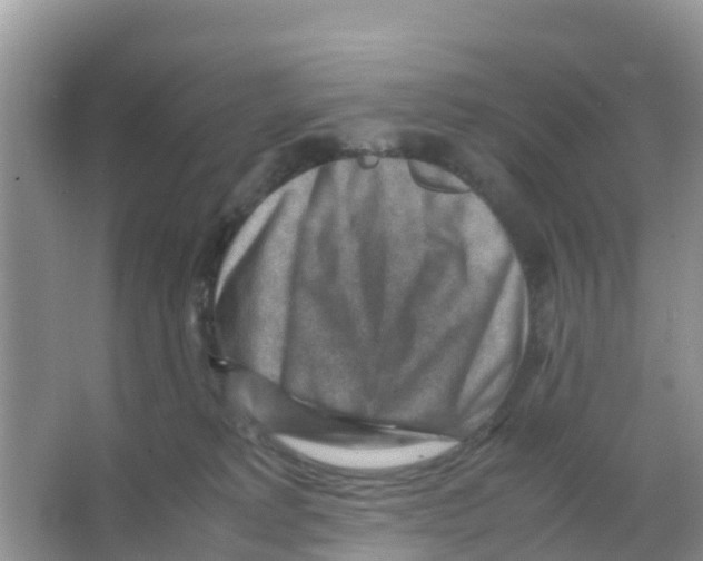 X0000066020229200603312057