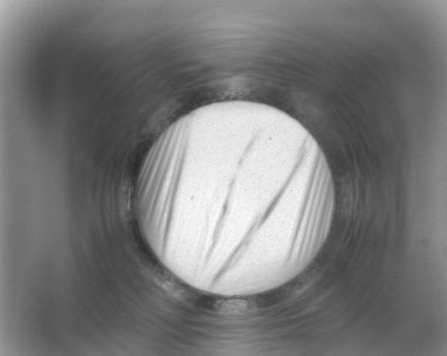 X0000066020230200603312057