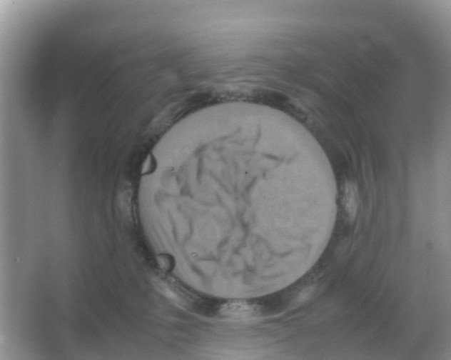 X0000066020231200603312057