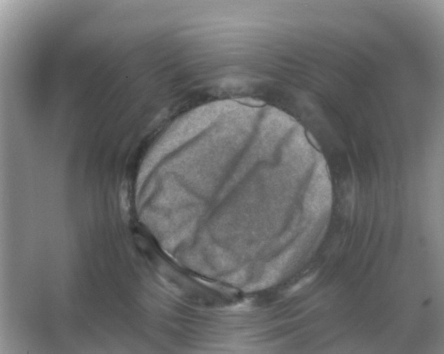 X0000066020232200603312057