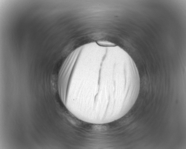 X0000066020234200603312057