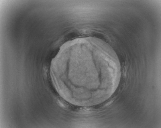 X0000066020235200603312057