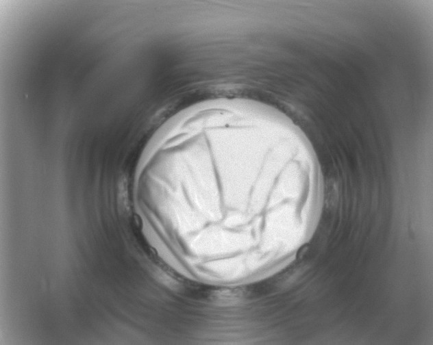 X0000066020238200603312057