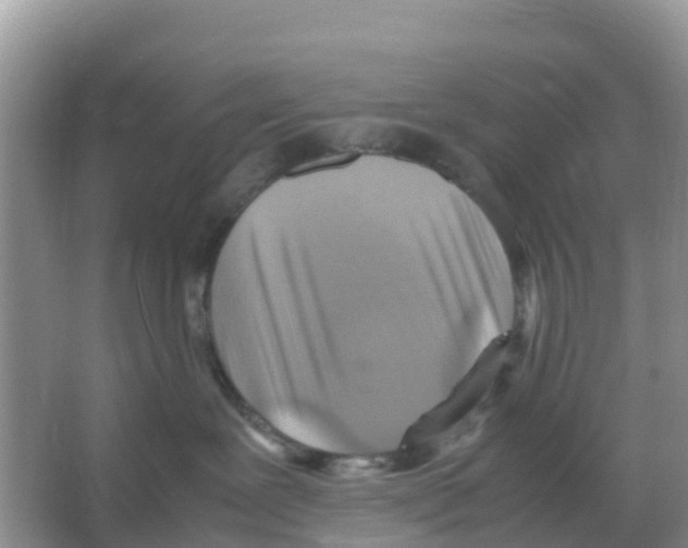 X0000066020239200603312057