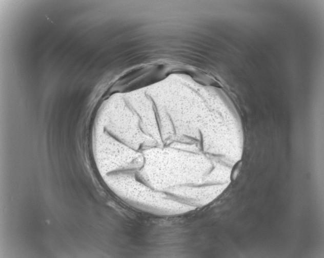 X0000066020241200603312056