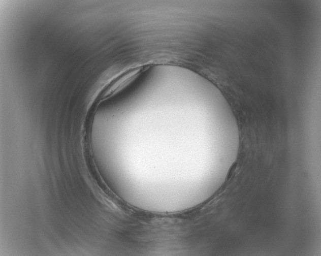 X0000066020242200603312056