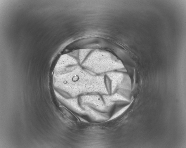 X0000066020244200603312056