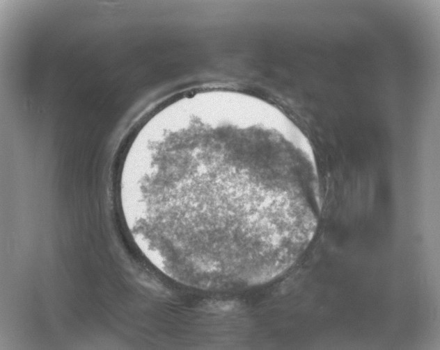 X0000066020247200603312056