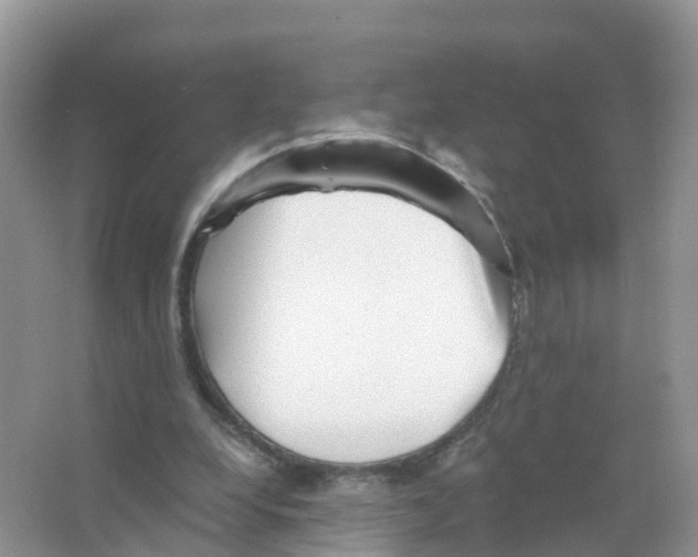 X0000066020248200603312056