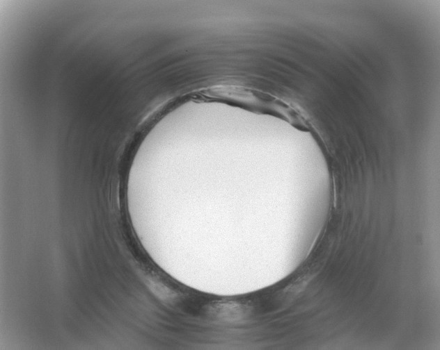 X0000066020253200603312056