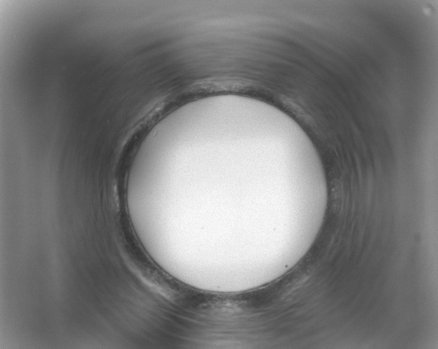 X0000066020254200603312056