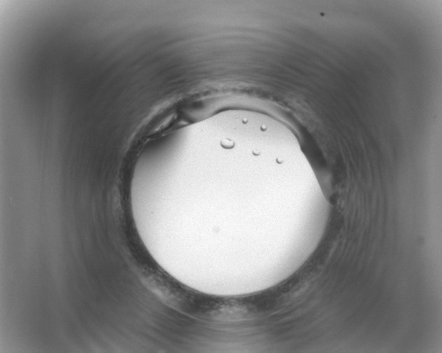 X0000066020256200603312056