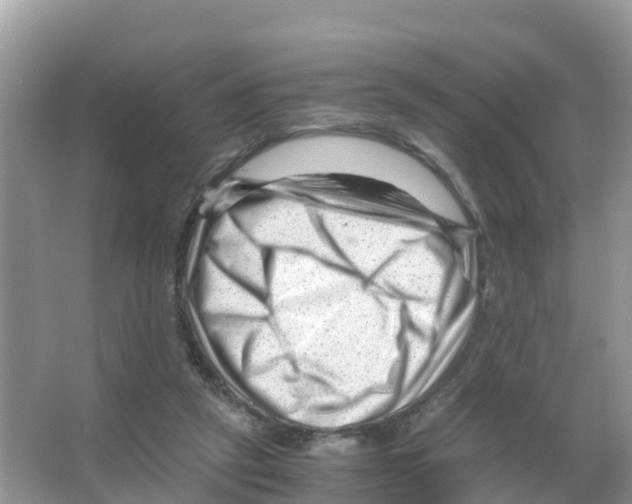 X0000066020257200603312056