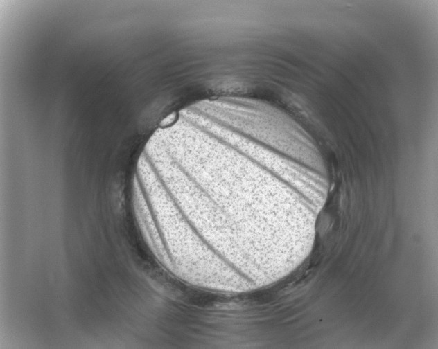 X0000066020259200603312056