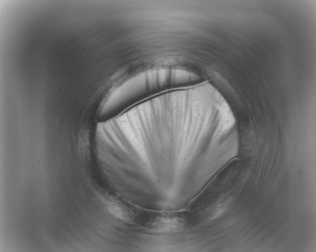 X0000066020260200603312056