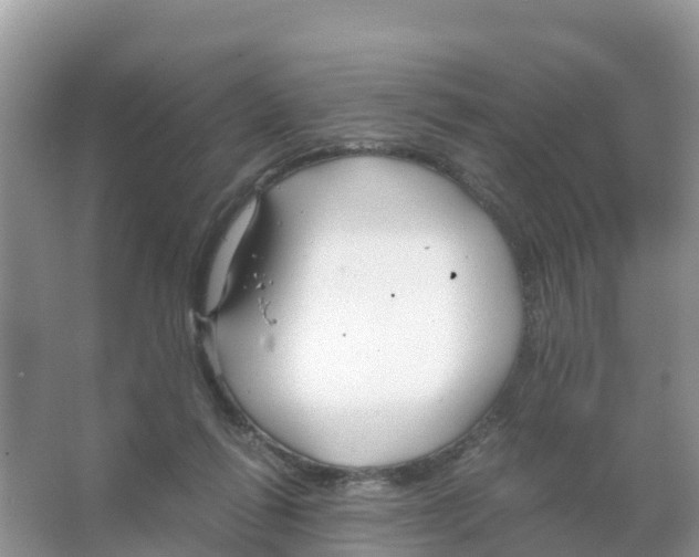 X0000066020262200603312056