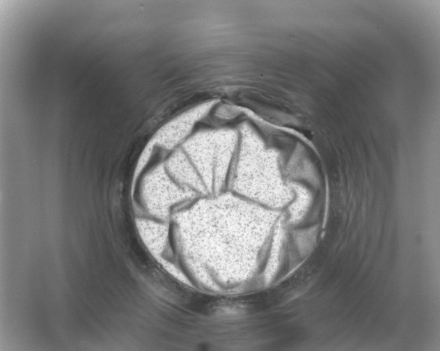 X0000066020263200603312056