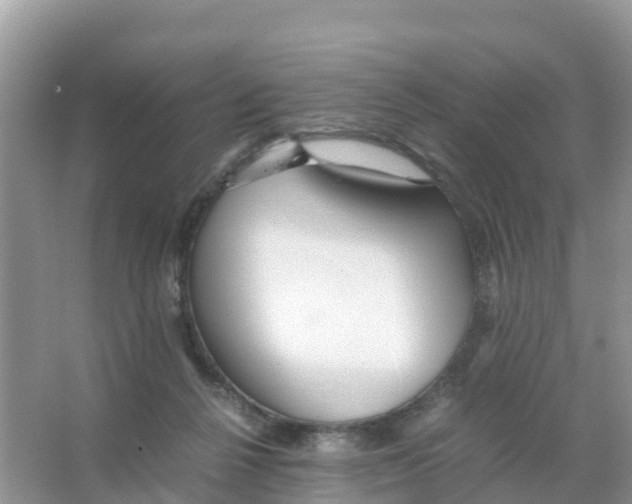 X0000066020264200603312056