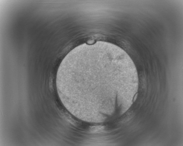 X0000066020266200603312056