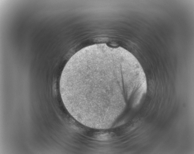 X0000066020267200603312056