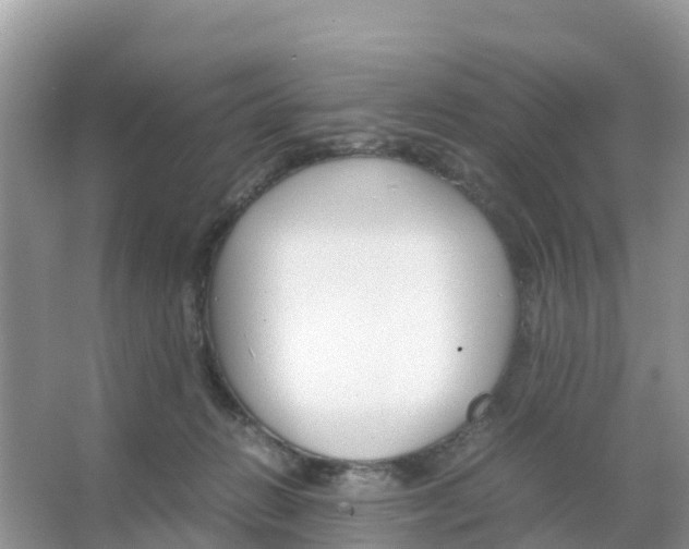 X0000066020270200603312057