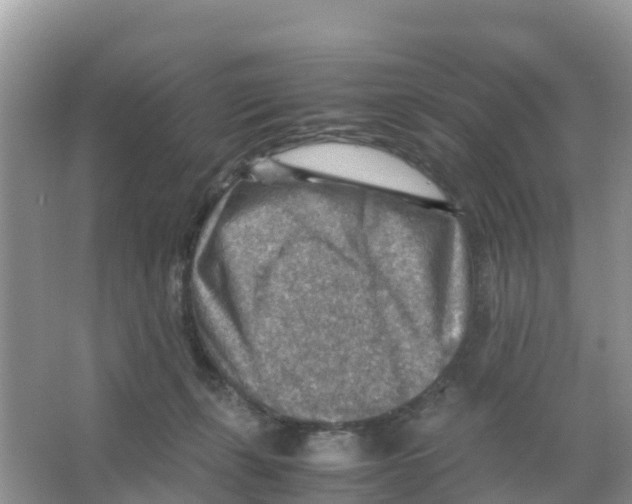 X0000066020271200603312057